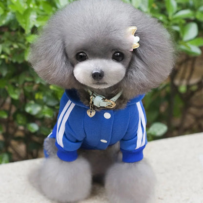 dsers Dog Hooded Jumpsuit for Small Dogs - Stylish Activewear