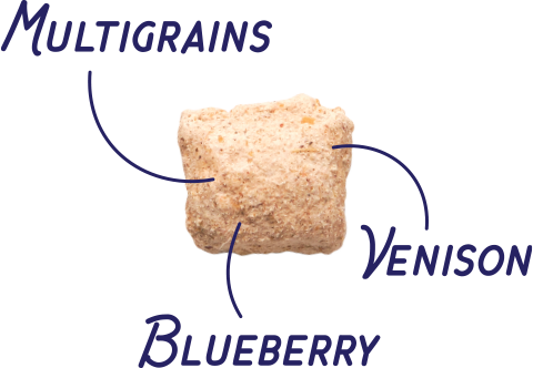Big Canyon Bites With Venison