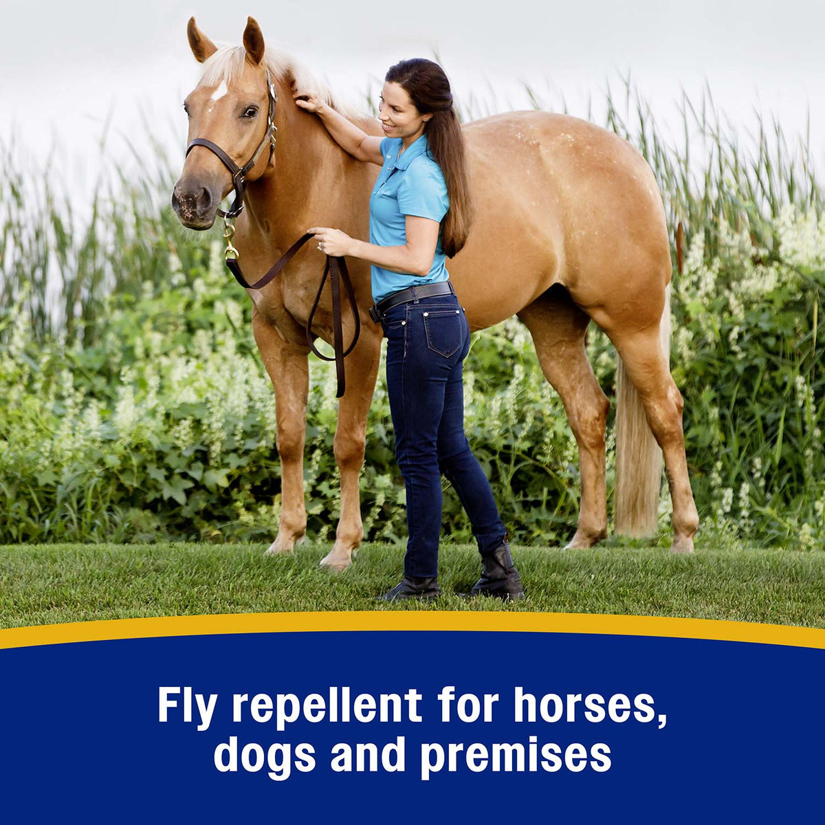 Bronco e Equine Fly Spray