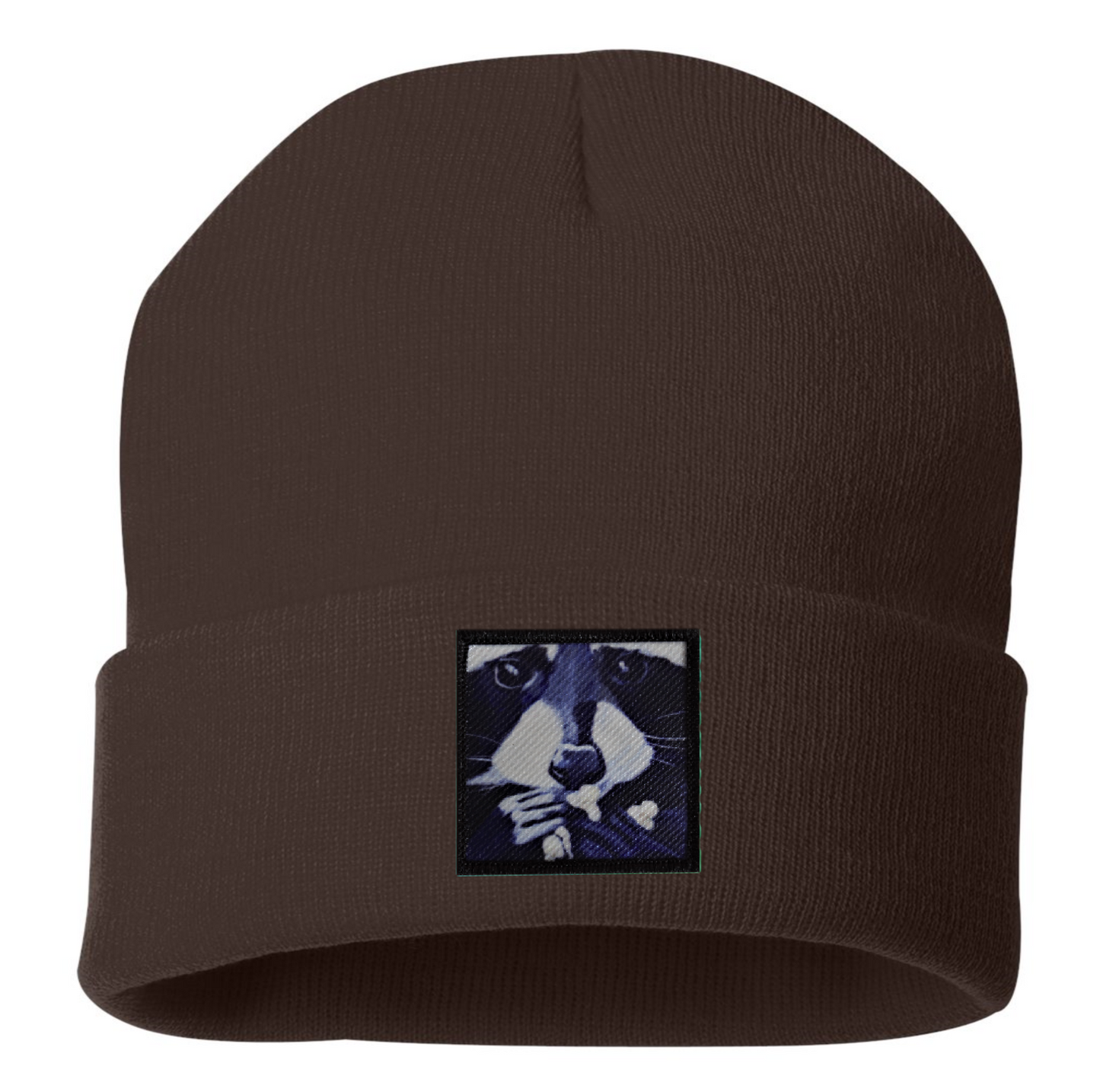 Raccoon Pop Beanie