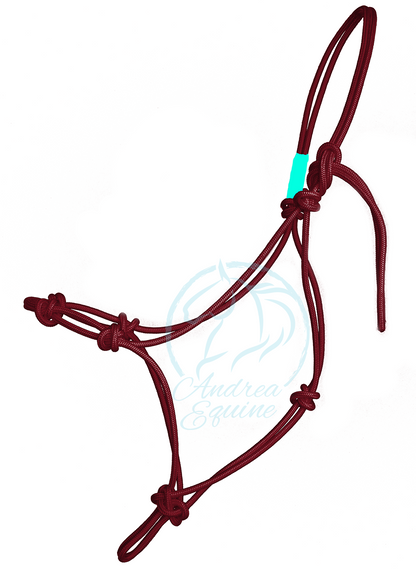 Stiff 4 Knot Clinician Training Halter