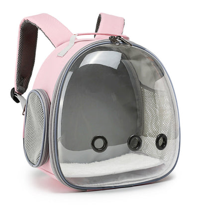Clear-Bubble Reptile Travel Backpack