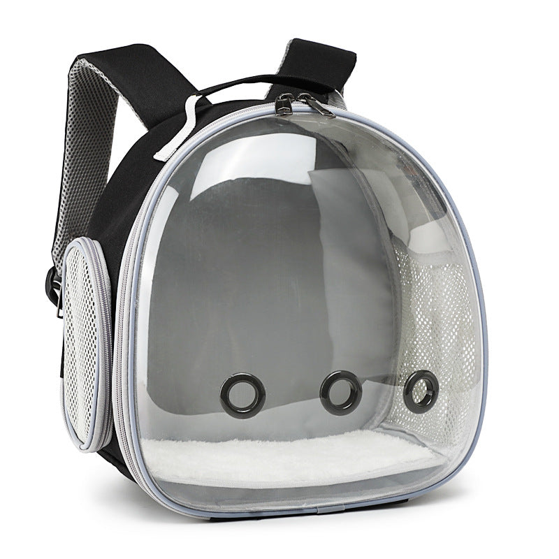 Clear-Bubble Reptile Travel Backpack