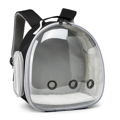 Clear-Bubble Reptile Travel Backpack