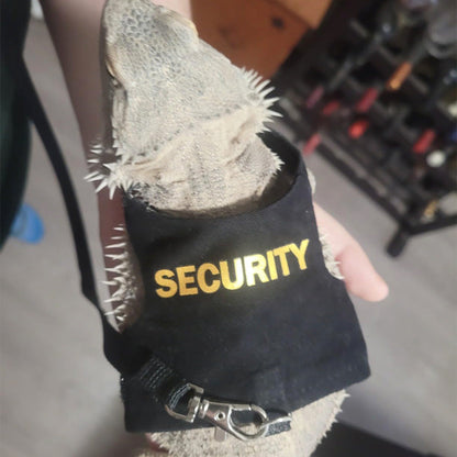 Tactical "Explorer & Security" Reptile Harness & Leash Set