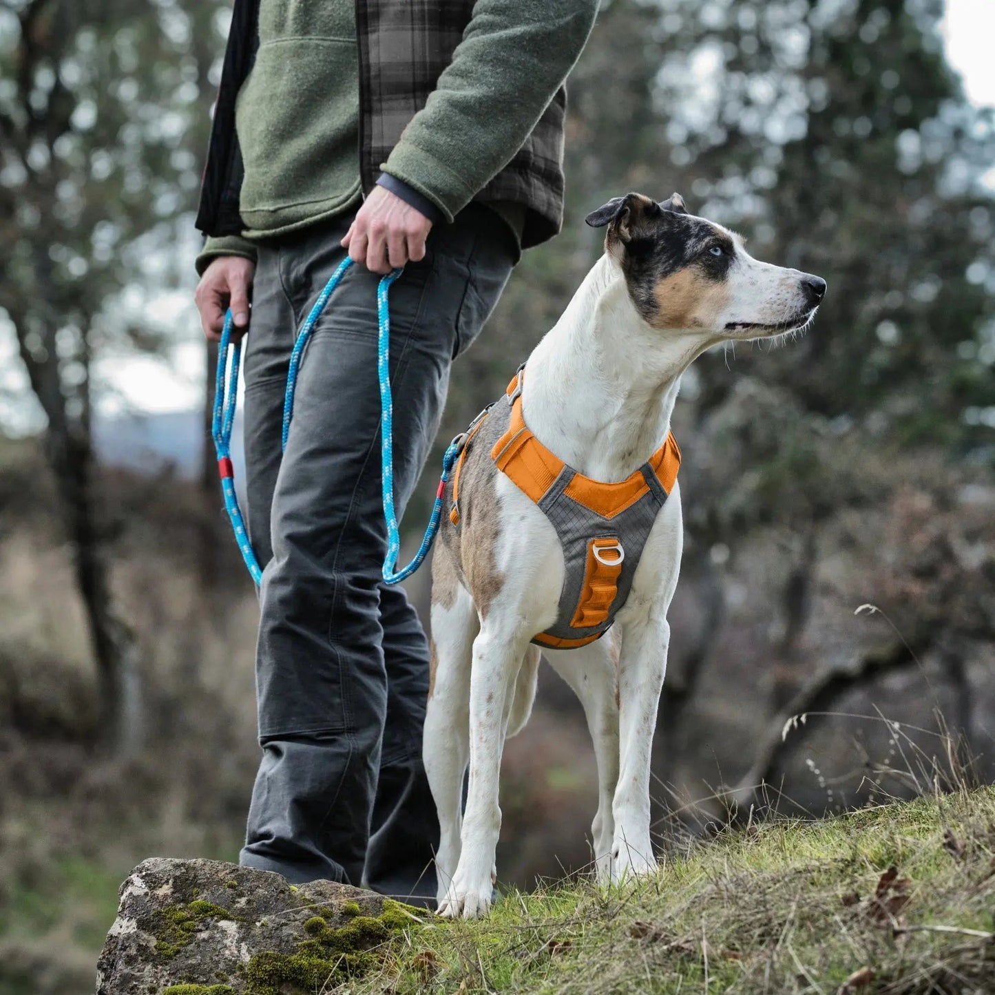 Journey Air Dog Harness, Vest Harnesses for Dogs, Pet Hiking Harness for Running & Walking, Reflective, Padded, Includes Control Handle, No Pull Front Clip (Orange, Small)