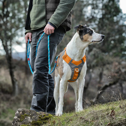 Journey Air Dog Harness, Vest Harnesses for Dogs, Pet Hiking Harness for Running & Walking, Reflective, Padded, Includes Control Handle, No Pull Front Clip (Orange, Small)