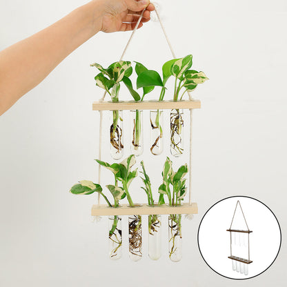 Wall-Hanging Test Tube Plant Propagation Station