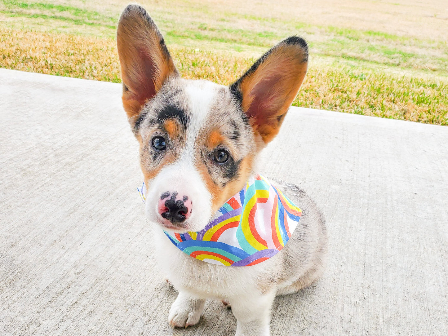 "Black V-Day Hearts" Dog Bandana