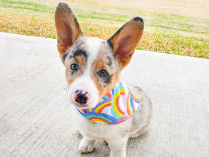 "Big Jolly Icons" Dog Bandana