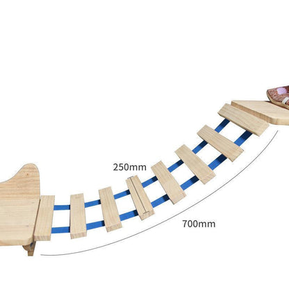 Wall Mounted Pet Climbing Ladder