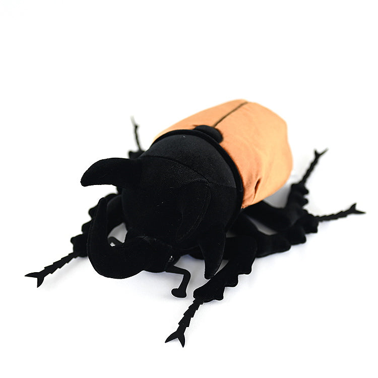 Caucasus Beetle