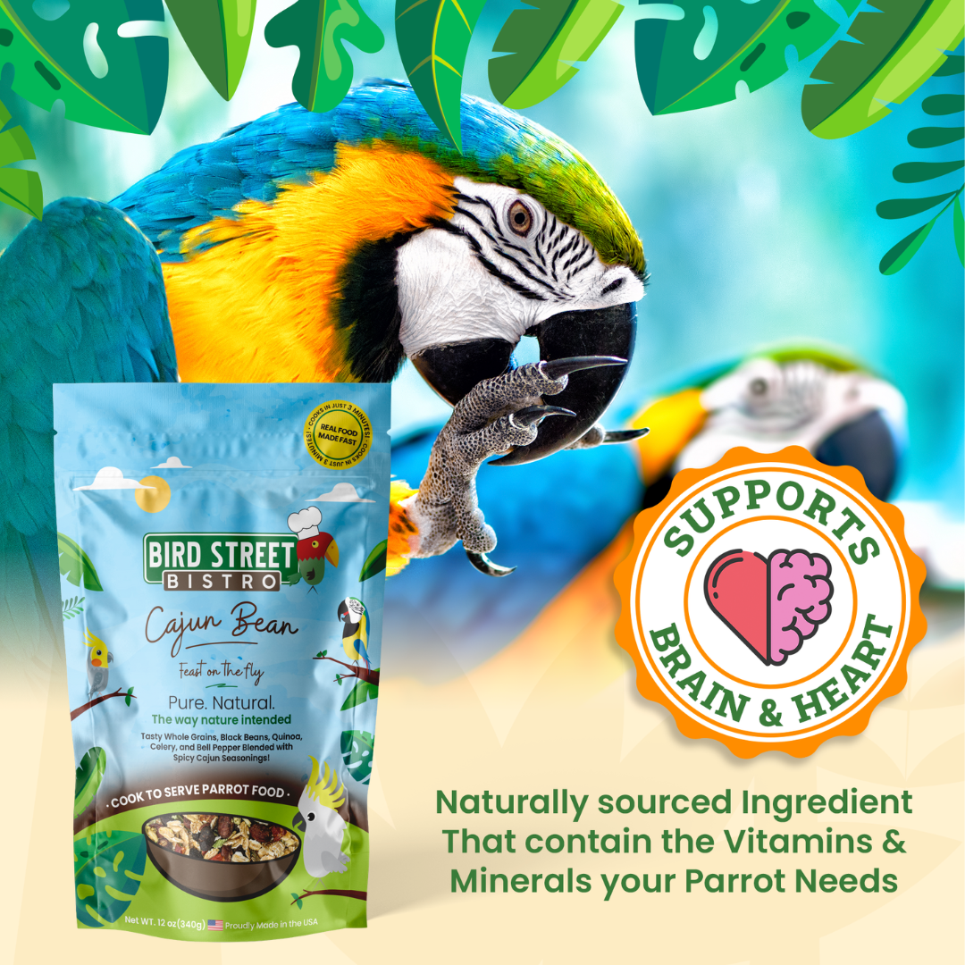 Cajun Bean - Feast on the Fly