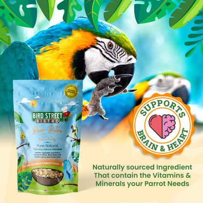 Bean Bistro Feast on the Fly - Triathlete Store