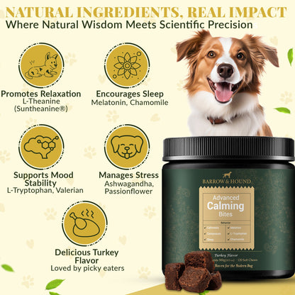 Calming Bites for Dogs – Stress & Anxiety Relief