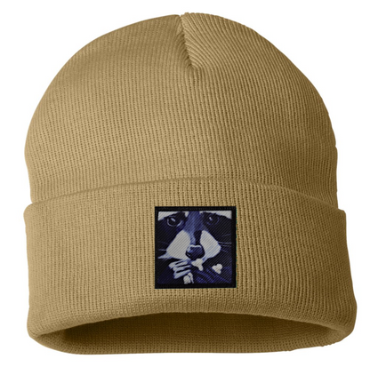 Raccoon Pop Beanie
