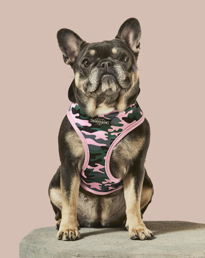 Camo QT Pink Hoodie Harness