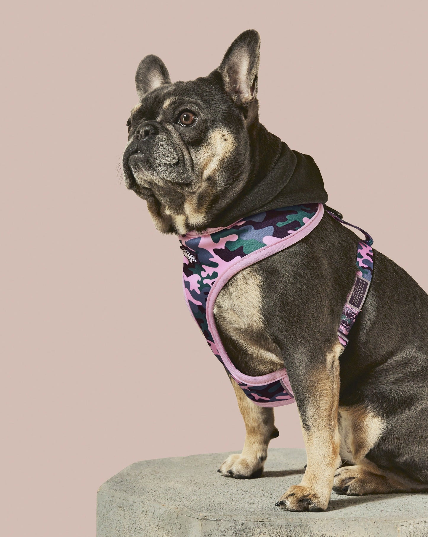 Camo QT Pink Hoodie Harness