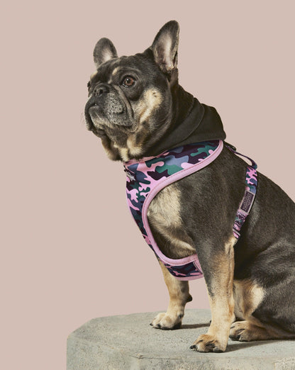 Camo QT Pink Hoodie Harness