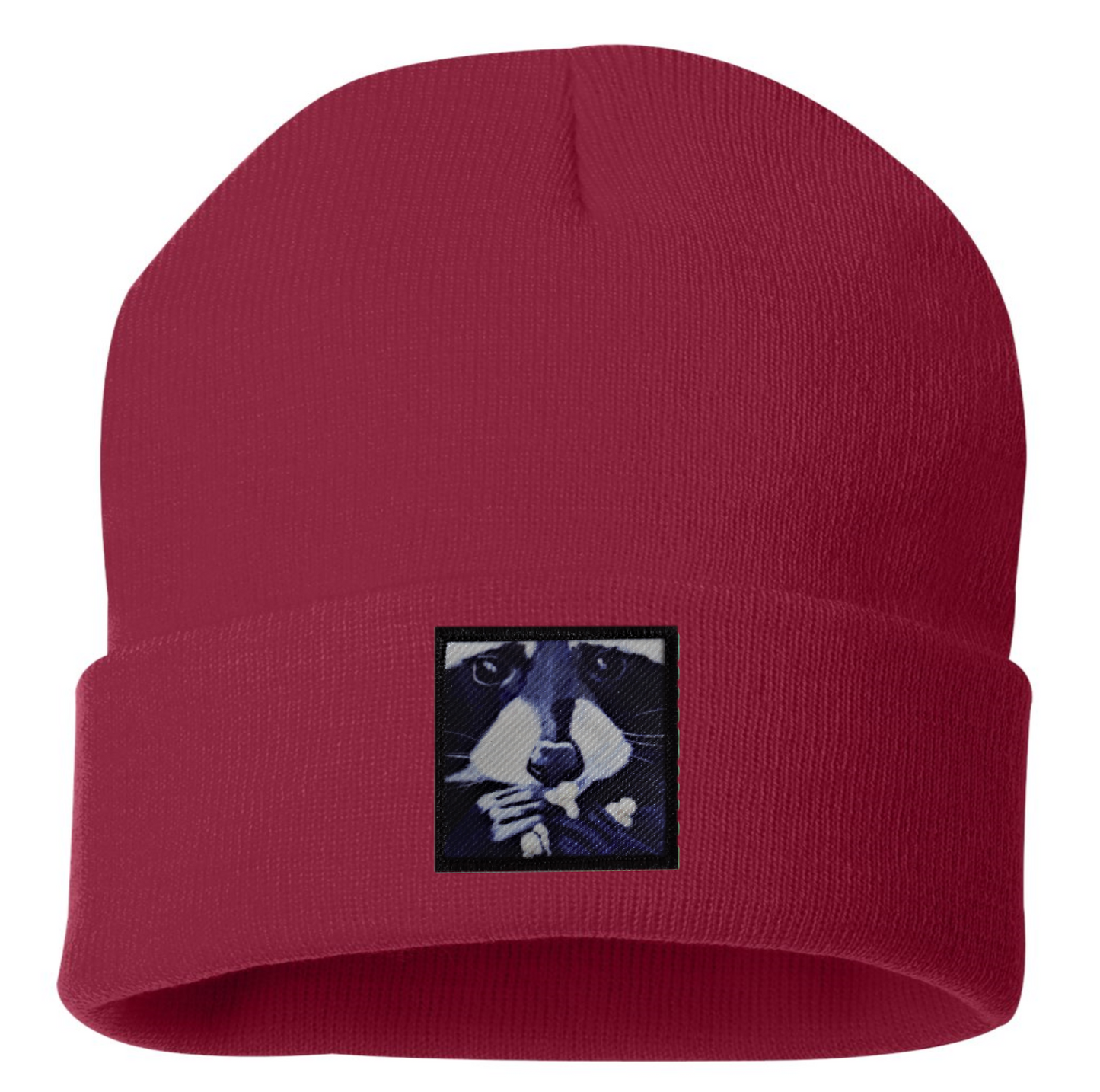Raccoon Pop Beanie