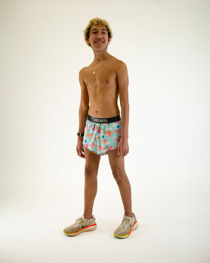 Men's Flying Pigs 2" Half Split Shorts (XS, S, M, L, XL)