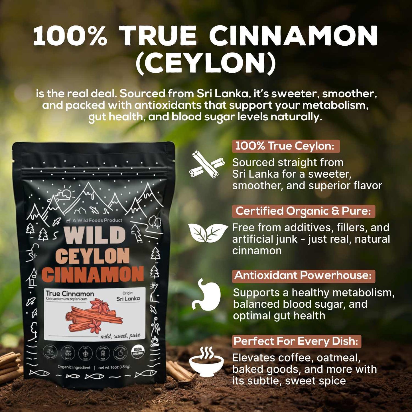 Wholesale case of 6 - Ceylon Cinnamon Powder Organic