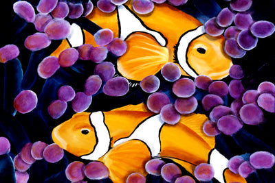 Deepa's Hawaii Underwater Images as Wall Hangings