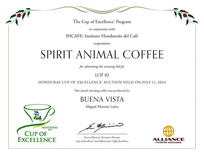 LAST FEW BAGS LEFT! Cup of Excellence Honduras Geisha (#10 Best) - Triathlete Store