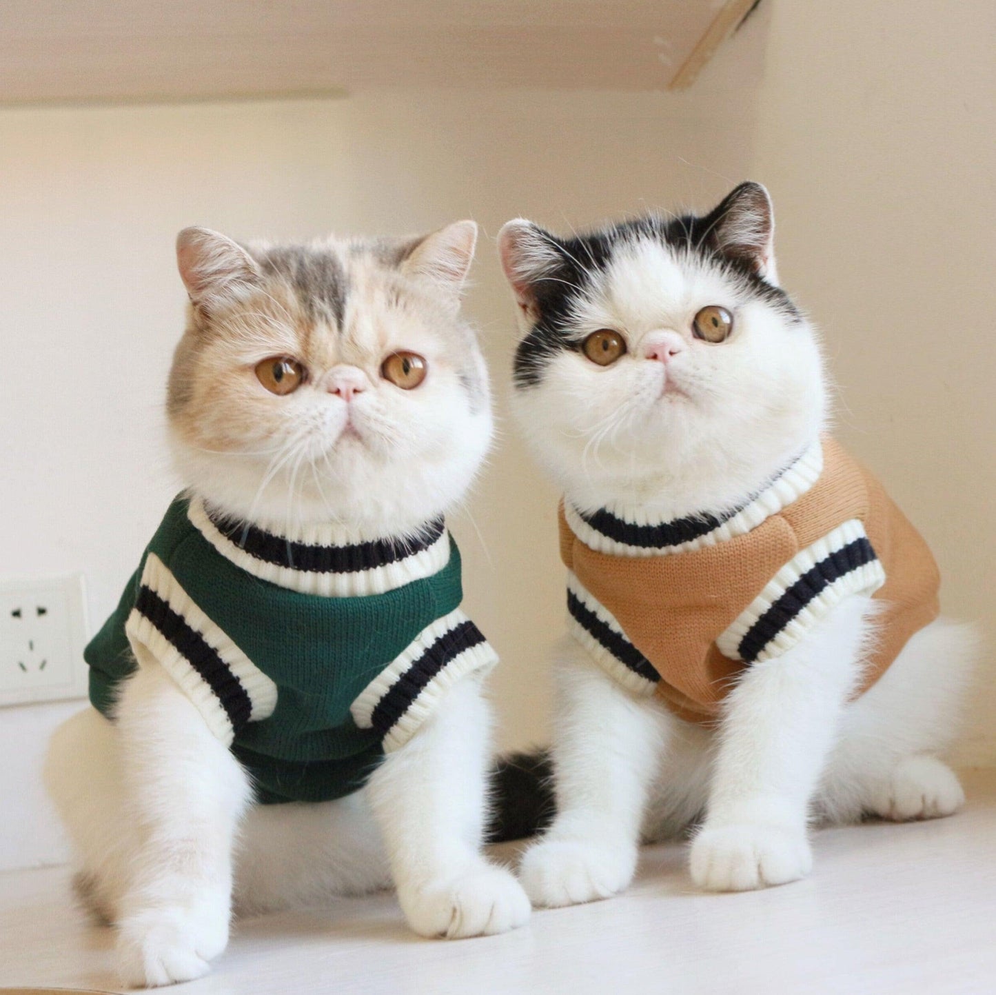 Fleece Knit Sleeveless Sweater for Cat