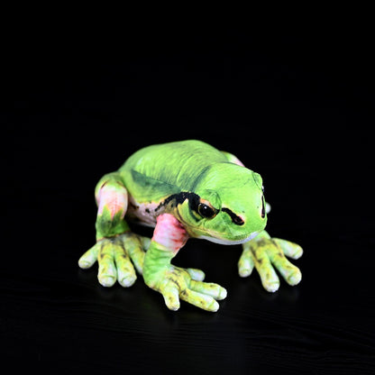 Japanese Tree Frog Plush