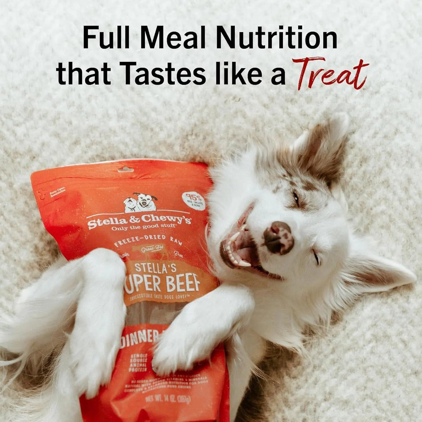 Freeze-Dried Raw Dinner Patties - Beef Recipe - High Protein Grain-Free Puppy & Dog Food - Perfect for Picky Eaters - 14 Oz