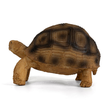 Realistic Resin African Spurred (Sulcata) Tortoise Figurine