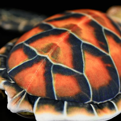 Sea Turtle Plush