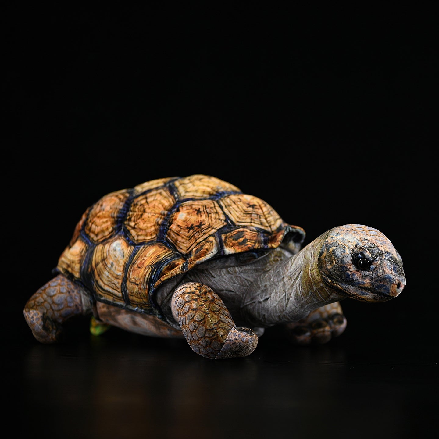 African Tortoise Plush