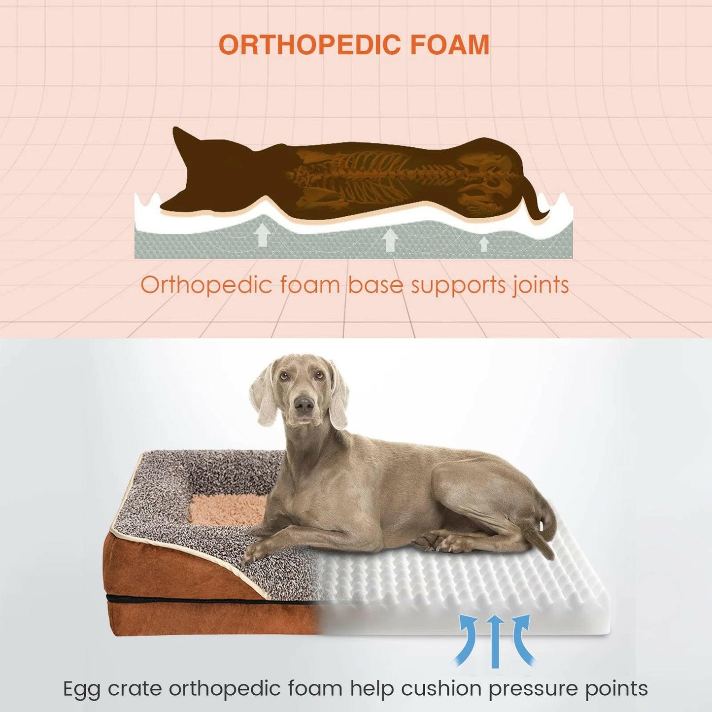 Best Orthopedic Dog Beds for Small Dogs