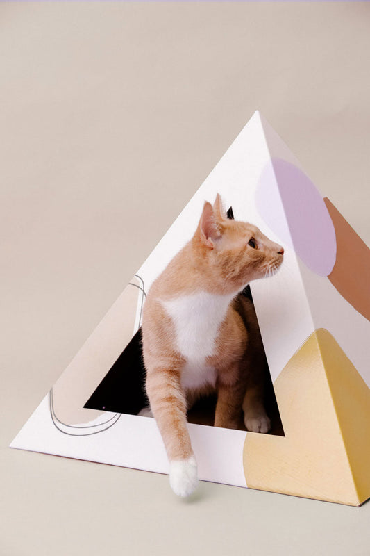 'Abstract' Cardboard Cat Pyramid