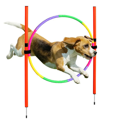 dsers Dog Agility Training Set with Adjustable Obstacles
