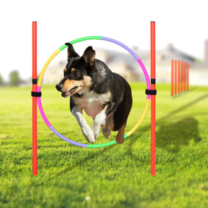 dsers Dog Agility Training Set with Adjustable Obstacles