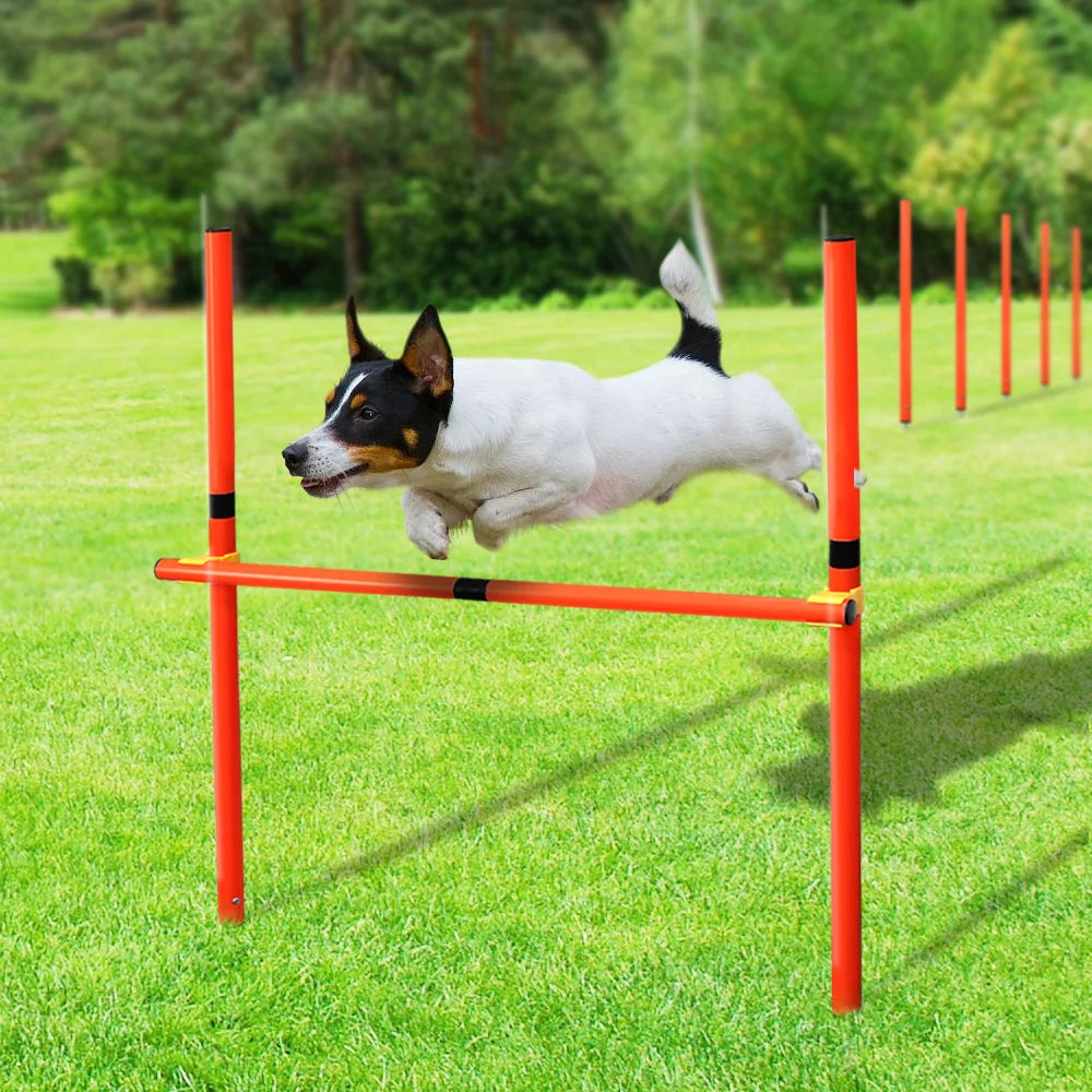 dsers Dog Agility Training Set with Adjustable Obstacles