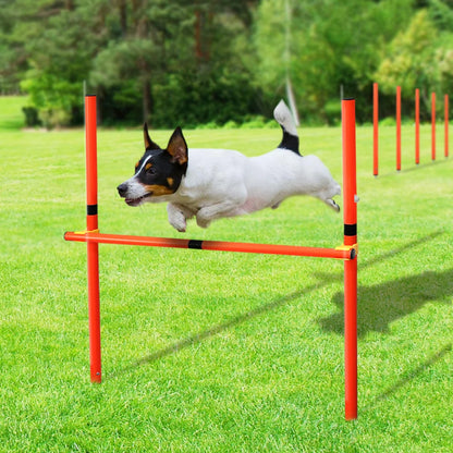 dsers Dog Agility Training Set with Adjustable Obstacles