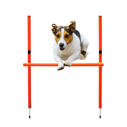 dsers Dog Agility Training Set with Adjustable Obstacles