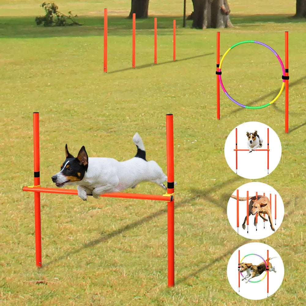 dsers Dog Agility Training Set with Adjustable Obstacles