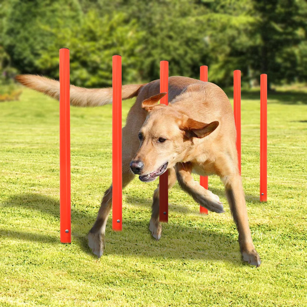 dsers Dog Agility Training Set with Adjustable Obstacles