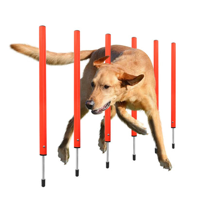 dsers Dog Agility Training Set with Adjustable Obstacles