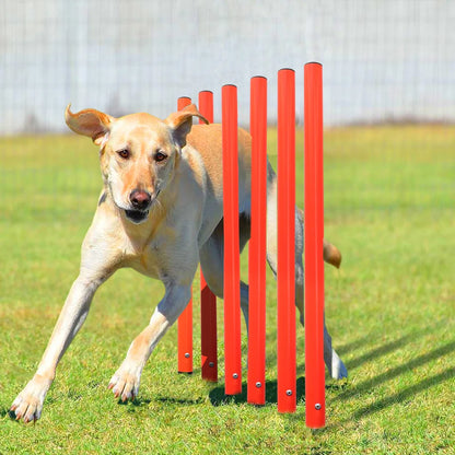 dsers Dog Agility Training Set with Adjustable Obstacles