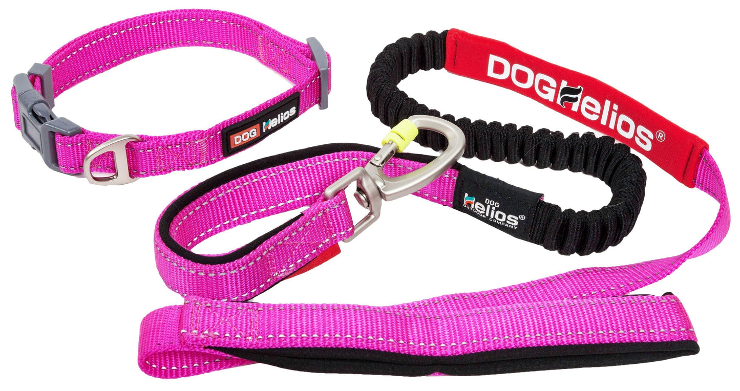 Dog Helios ® 'Neo-Indestructible' 2-in-1 Accordion Dog Collar and Leash