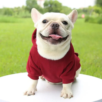 My Store Red Dog Hooded Sweater Cozy Pet Clothing