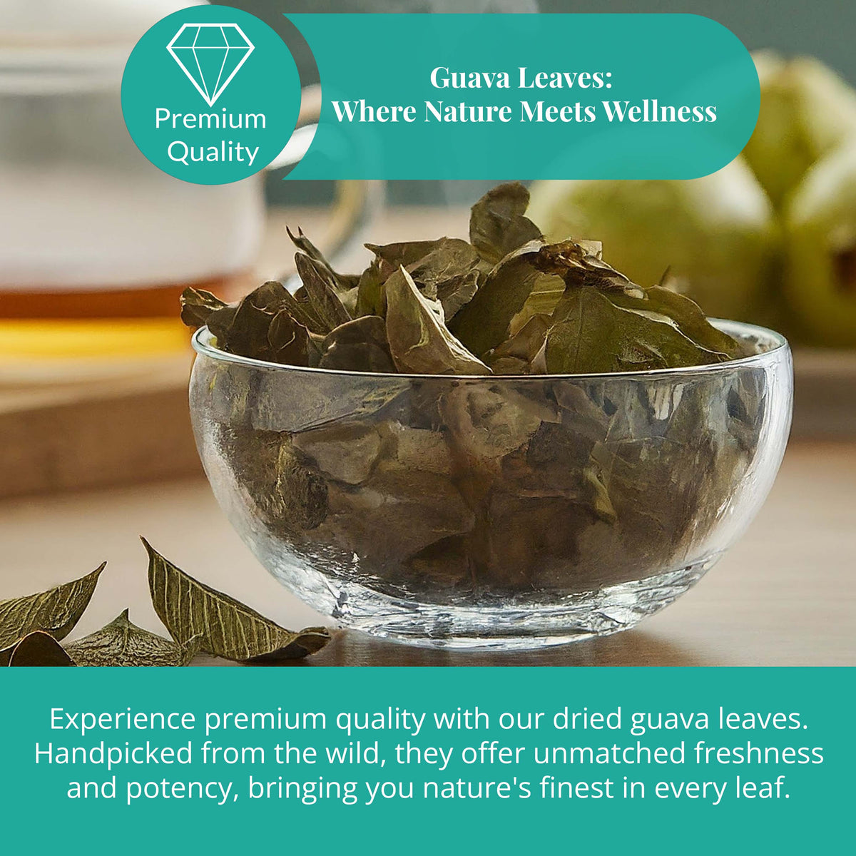 Dried Guava Leaves 2.6 oz – Loose Leaf Herbal Tea | Akshit