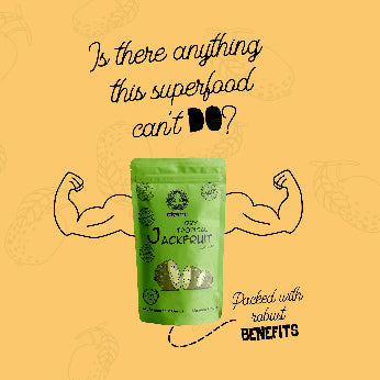 Akshit  Dried Jackfruit slices |  Dehydrated Jackfruit | Gluten-Free | Dry Jackfruit Slices | NON-GMO | 3.6 oz ( 3 Count)