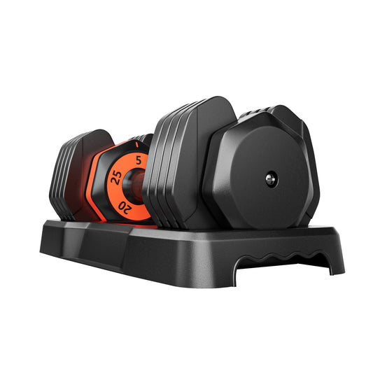 25LB 5 in 1 Single Adjustable Dumbbell Free Dumbbell Weight Adjust with Anti-Slip Metal Handle, Ideal for Full-Body Home Gym Workouts